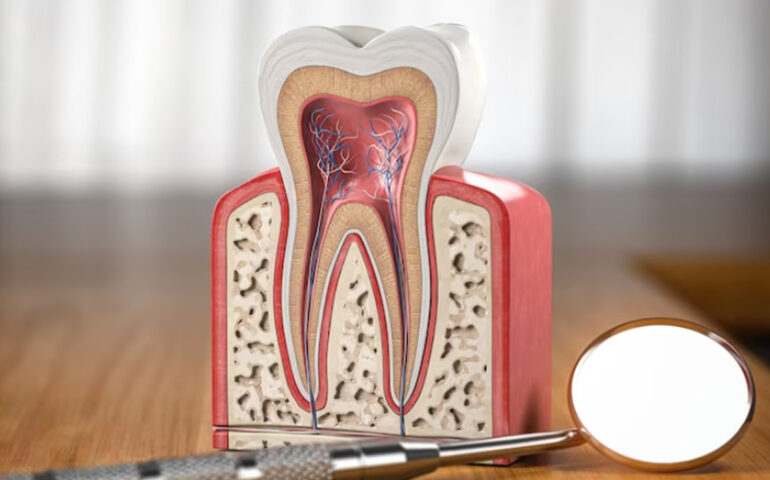 Painless RCT Gandhinagar | Root Canal Treatment in Gandhinagar | Nova Dental