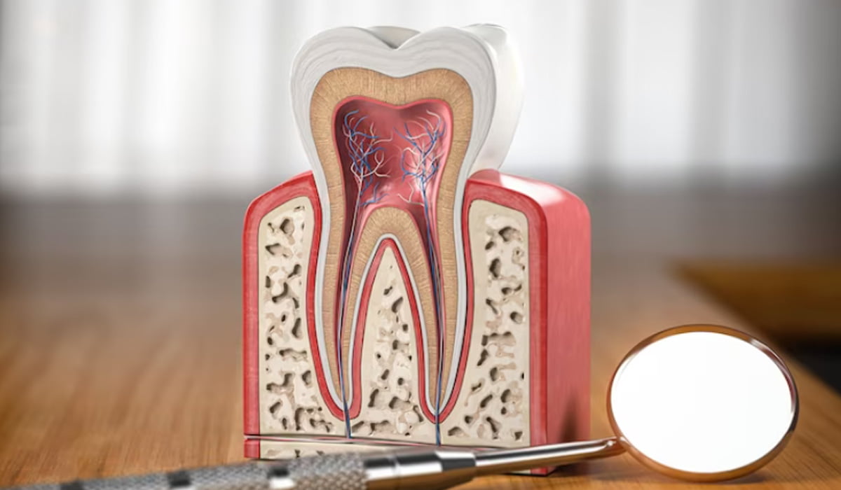 Painless RCT Gandhinagar | Root Canal Treatment in Gandhinagar | Nova Dental