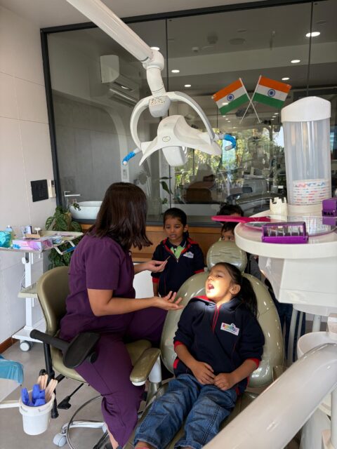 WhatsApp Image 2026-01-28 at 15.16.42 (33)