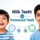 Milk Teeth vs Permanent Teeth: A Parent’s Complete Guide to What Changes and When